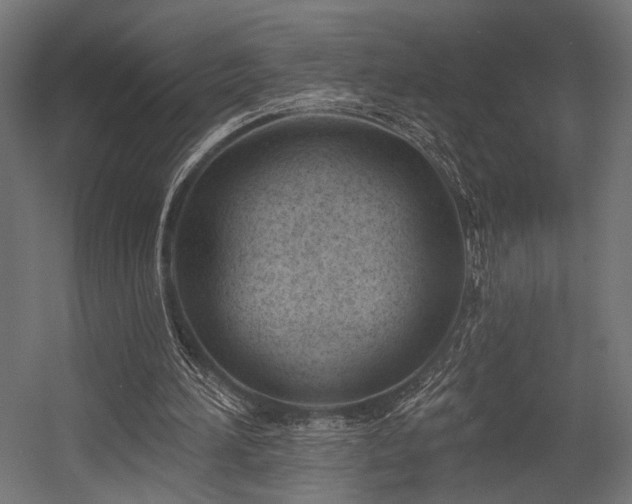 X0000054420196200507291258