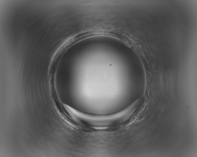 X0000054420197200507291258