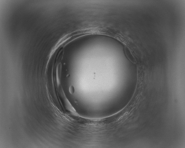 X0000054420198200507291258