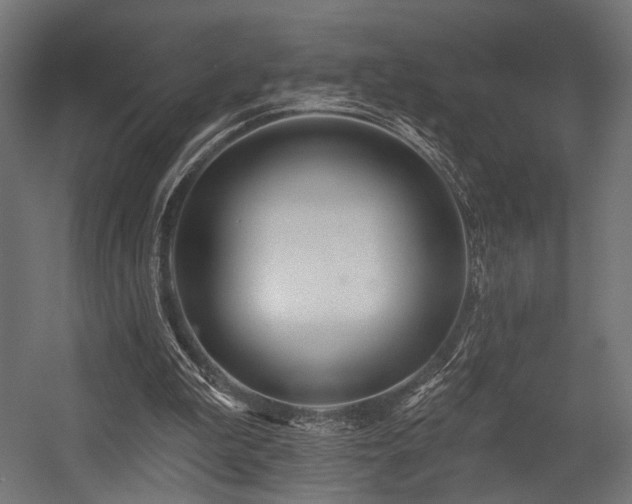 X0000054420199200507291258