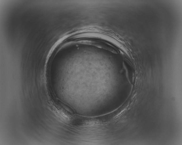 X0000054420200200507291258