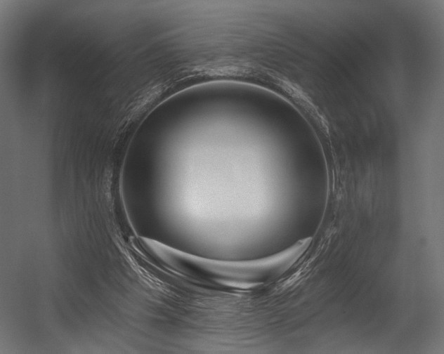 X0000054420201200507291258