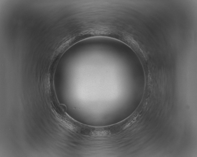 X0000054420202200507291258