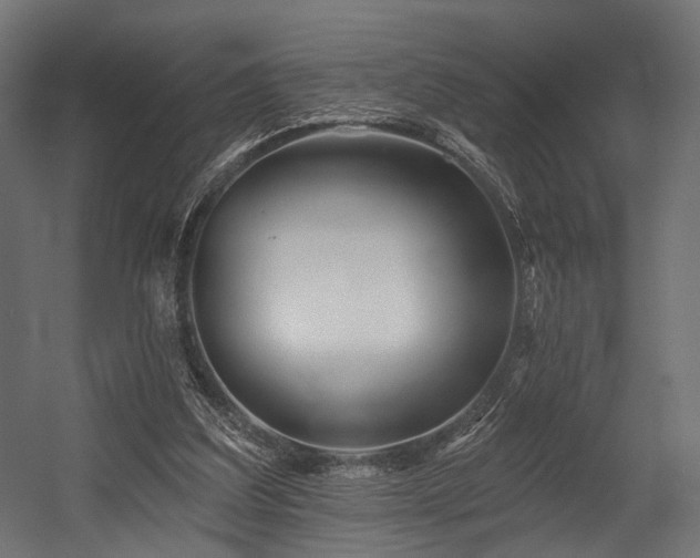 X0000054420203200507291258