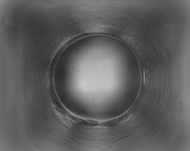 X0000054420204200507291258