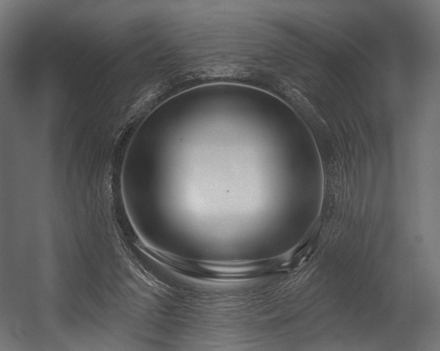 X0000054420207200507291258