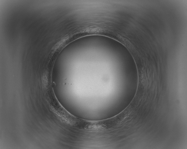 X0000054420208200507291258