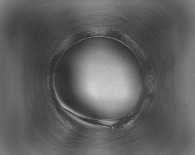 X0000054420209200507291258