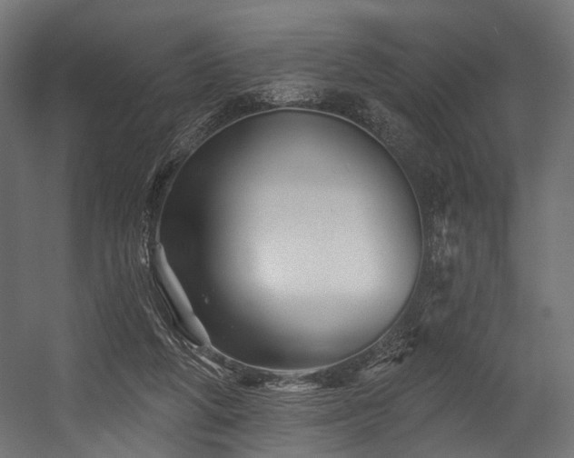 X0000054420210200507291258