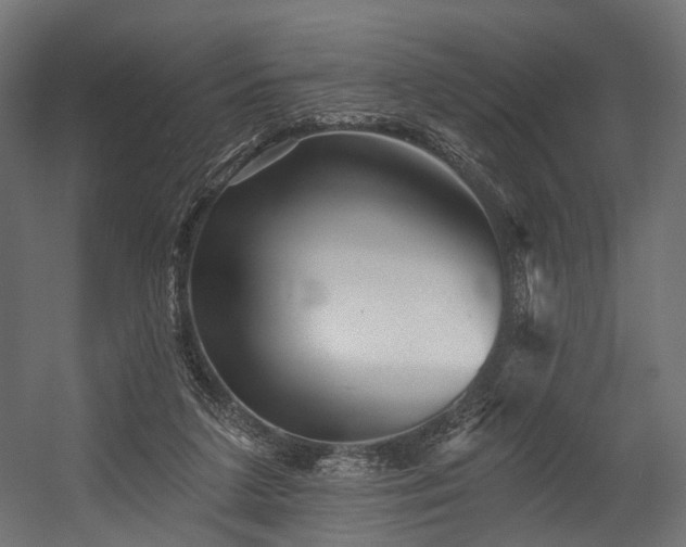 X0000054420211200507291257