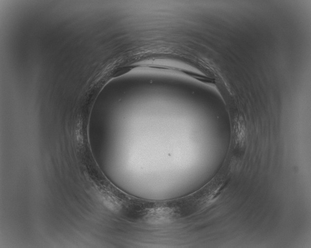 X0000054420212200507291257