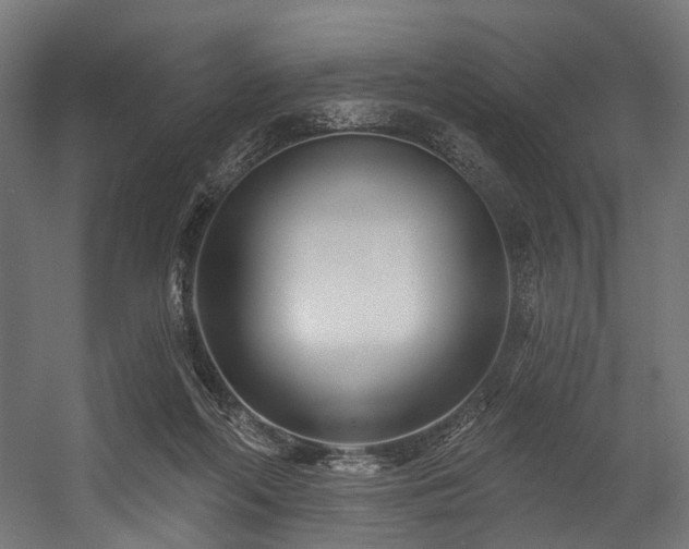 X0000054420214200507291257