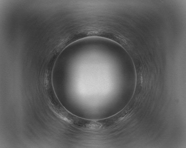 X0000054420215200507291257