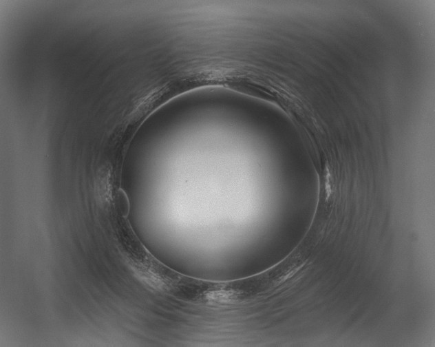 X0000054420216200507291257