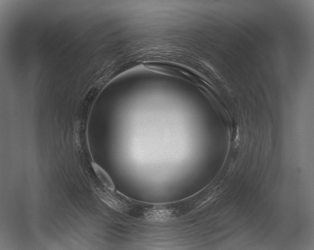 X0000054420217200507291257