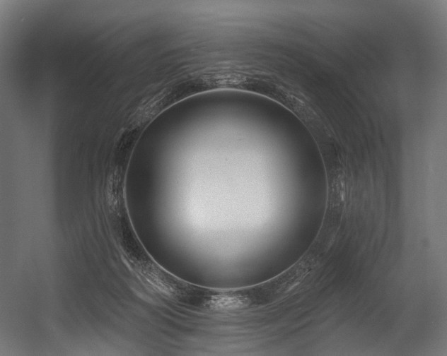 X0000054420218200507291257