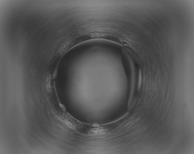 X0000054420219200507291257