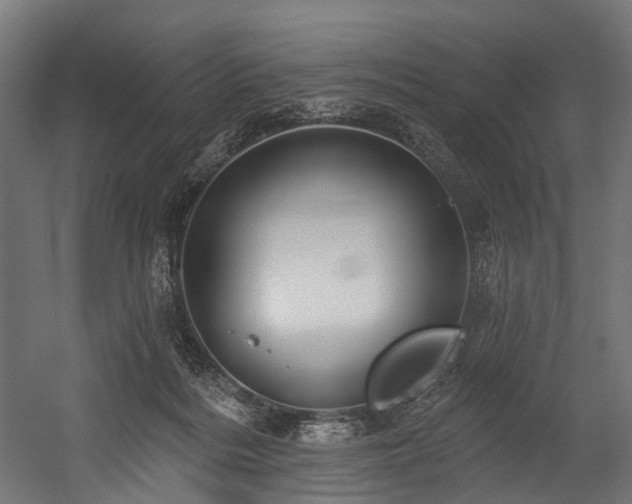 X0000054420220200507291257