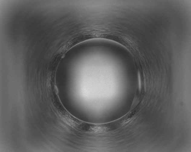 X0000054420221200507291257