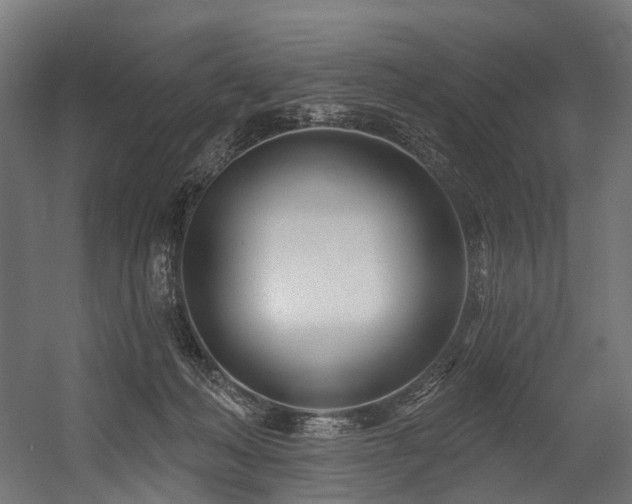 X0000054420222200507291257