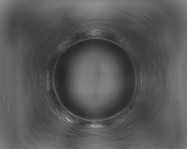 X0000054420223200507291257