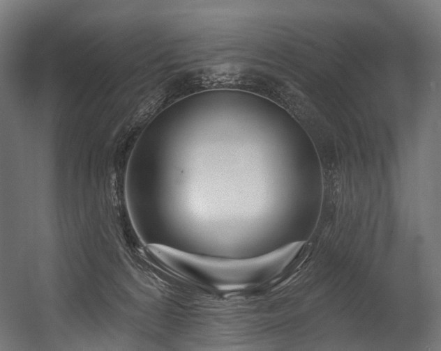 X0000054420224200507291257