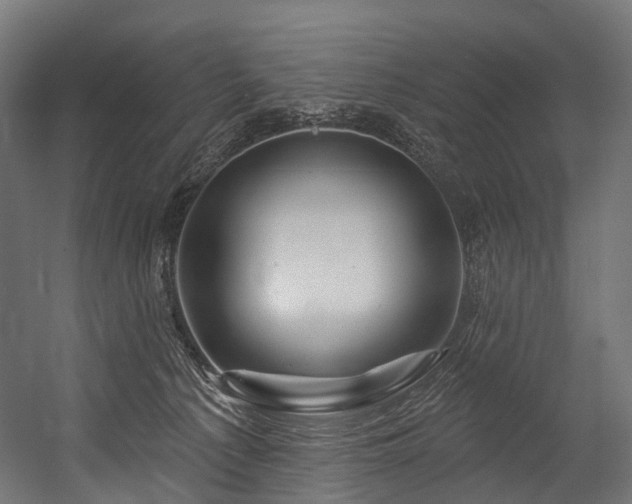 X0000054420225200507291257