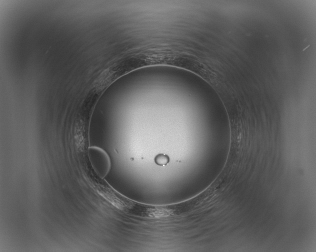 X0000054420226200507291257