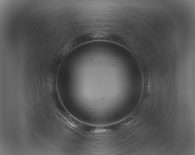 X0000054420227200507291257