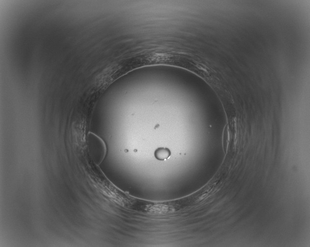 X0000054420230200507291257