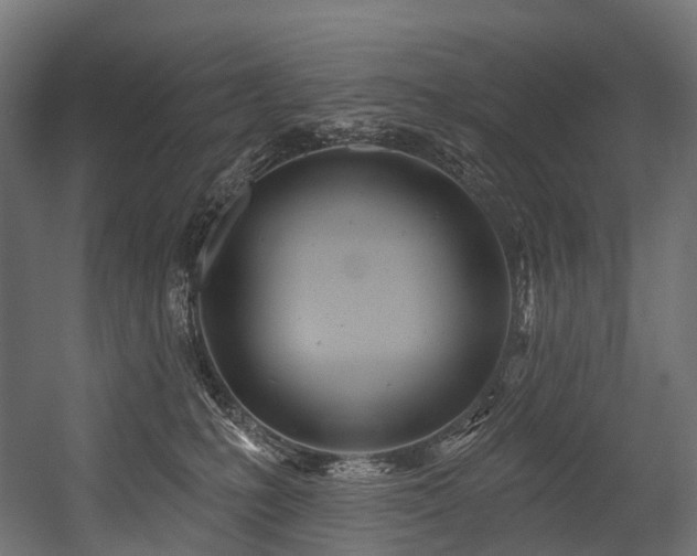 X0000054420231200507291257