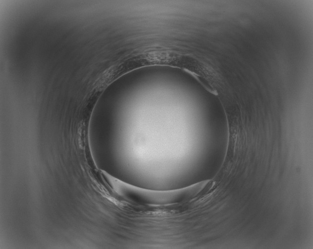 X0000054420233200507291257