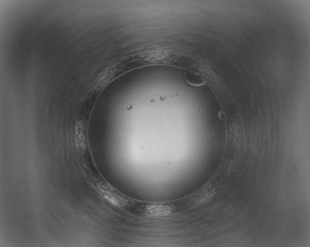 X0000054420234200507291257