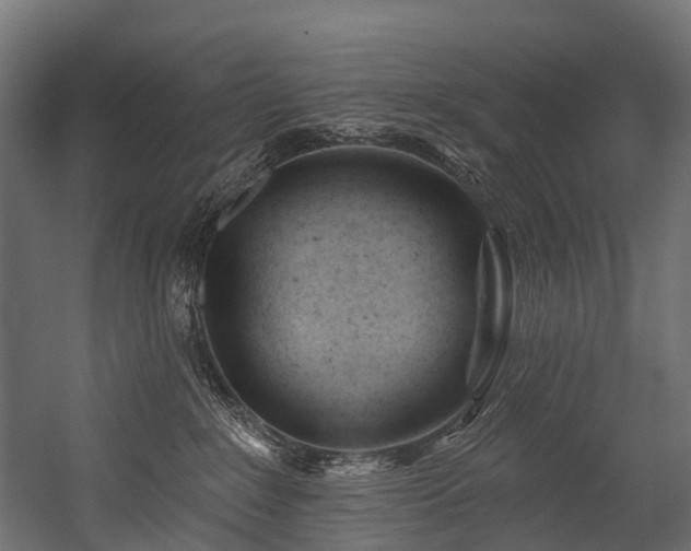 X0000054420235200507291257