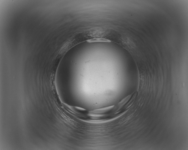 X0000054420237200507291257