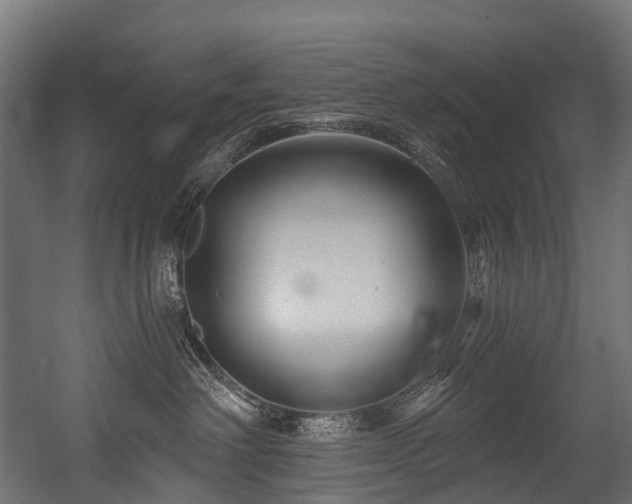 X0000054420238200507291257