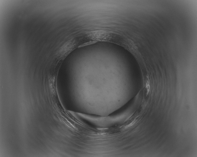 X0000054420239200507291257