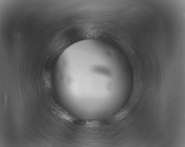 X0000054420240200507291257