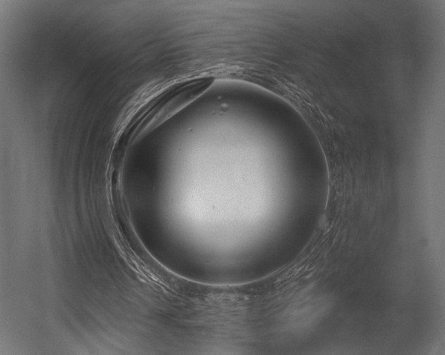 X0000054420242200507291256