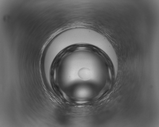 X0000054420244200507291256