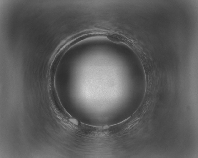 X0000054420247200507291256