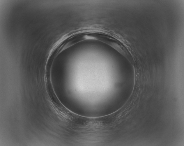 X0000054420248200507291256