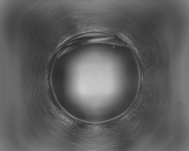 X0000054420249200507291256