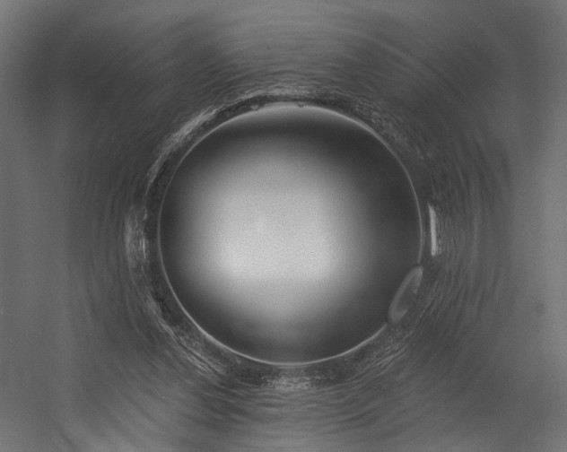 X0000054420252200507291256