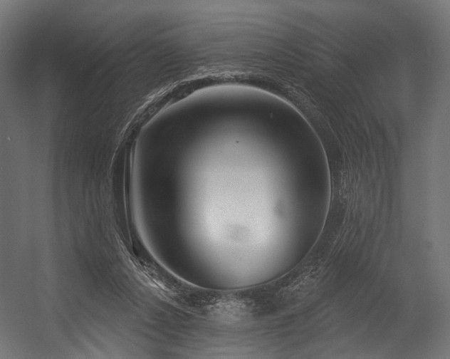 X0000054420256200507291256