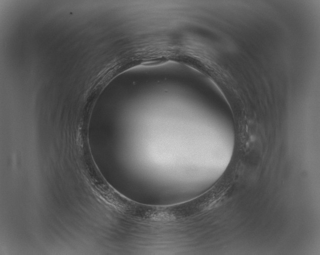 X0000054420258200507291256