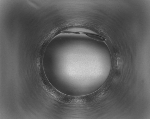 X0000054420260200507291257