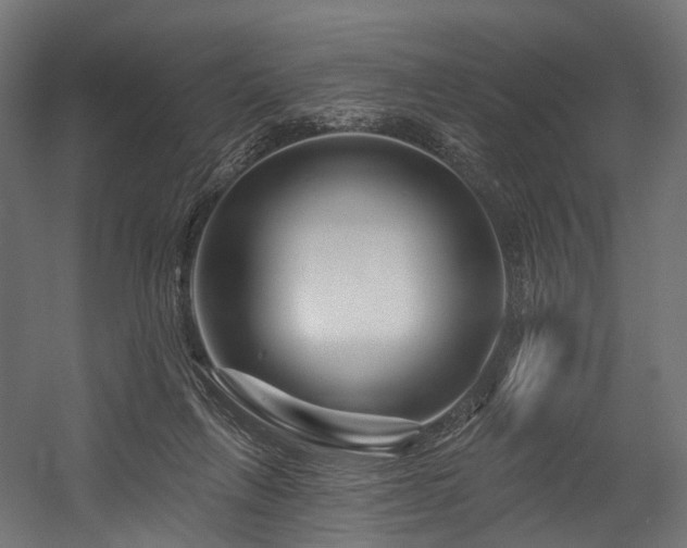 X0000054420263200507291257