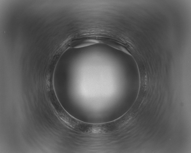 X0000054420264200507291257