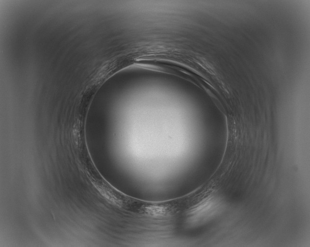 X0000054420265200507291257